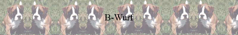 B-Wurf