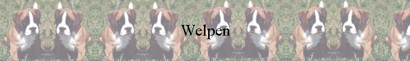 Welpen
