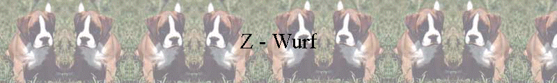 Z - Wurf